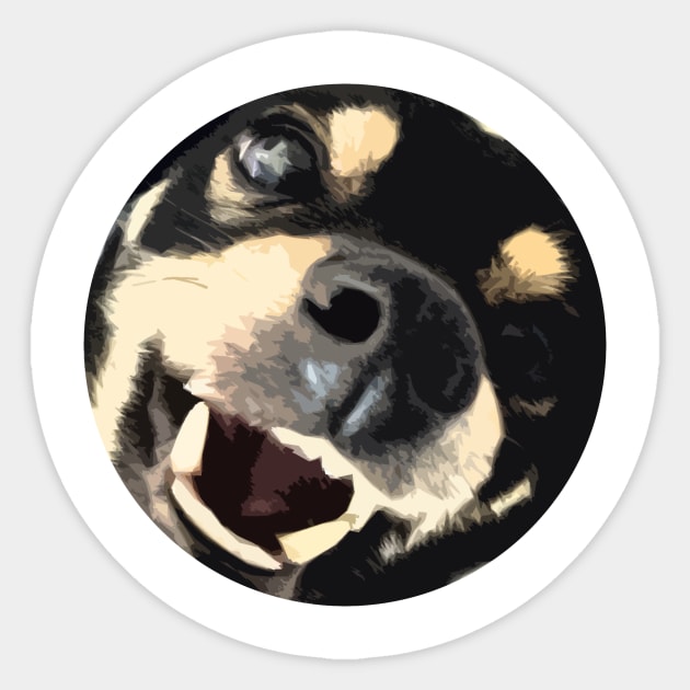 Chiweenie Dog Gifts Facemask Face mask Chiweenie Funny Mom Dog